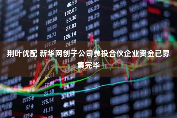 荆叶优配 新华网创子公司参投合伙企业资金已募集完毕